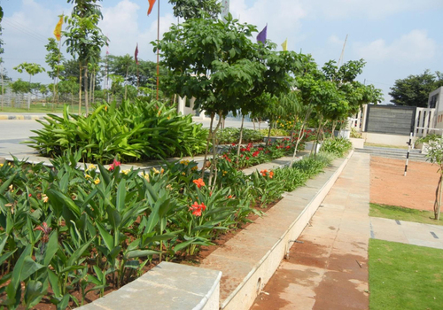 Landscaping services in Noida , Gurgaon , Faridabad